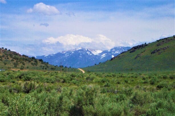 2.27 ACRES IN SPRING CREEK/ELKO, NEVADA – TREED WITH ROAD – NEAR ELKO & RUBY MOUNTAINS