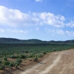 Thumbnail of 10.10 ACRES IN GORGEOUS BOX ELDER COUNTY, UTAH NEAR SAWTOOTH NAT. FOREST Photo 8