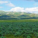 Thumbnail of 10.10 ACRES IN GORGEOUS BOX ELDER COUNTY, UTAH NEAR SAWTOOTH NAT. FOREST Photo 3