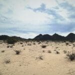 Thumbnail of 10.00 ACRES IN YUMA COUNTY, ARIZONA NEAR KOFA NAT. PARK AND DATELAND ~ GROWING AREA! Photo 1