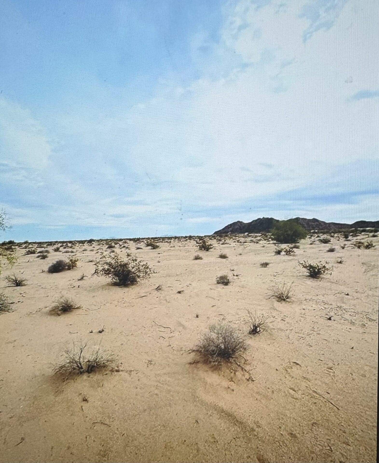 10.00 ACRES IN YUMA COUNTY, ARIZONA NEAR KOFA NAT. PARK AND DATELAND ~ GROWING AREA! photo 3