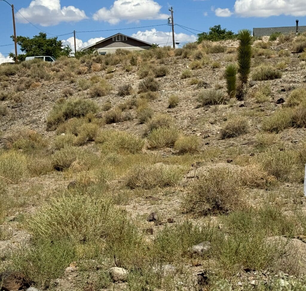 Large view of 6 PARCELS IN BEAUTIFUL HISTORIC GOLDFIELD, NEVADA~RAW VACANT LAND IN TOWN~NO ZONING OR BUILDING DEPT~NEAR LAS VEGAS Photo 10