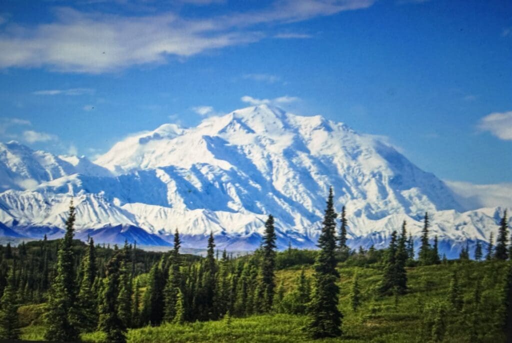 Large view of 0.76 ACRES IN WILLOW, ALASKA – FEET FROM LONG LAKE ON IMPROVED ROAD WITH POWER AND GORGEOUS MT. DENALI (20,310 FT)NATIONAL PARK AND PRESERVE VIEWS Photo 1