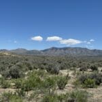 Thumbnail of 60.00 GORGEOUS ACRES IN PINE VALLEY, NEVADA WITH PINE CREEK RUNNING THU IT ~ ELK, DEER, ANTELOPE + MORE ~EXCLUSIVE AREA! Photo 10