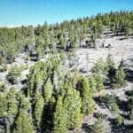 Thumbnail of 1.50 ACRES IN GILPIN CO, COLORADO ~ TWO MINES MC INTOSH 50% 1.5 ACRES (UND 1/2) HAWKEYE Photo 1
