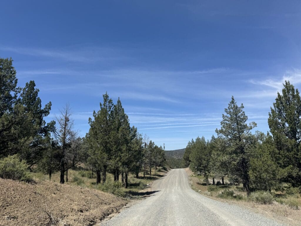 Large view of 1.47 ACRES IN BEAUTIFUL NORTHERN CALIFORNIA JUST NORTH OF ALTURAS WITH POWER AND TIMBER. Photo 17