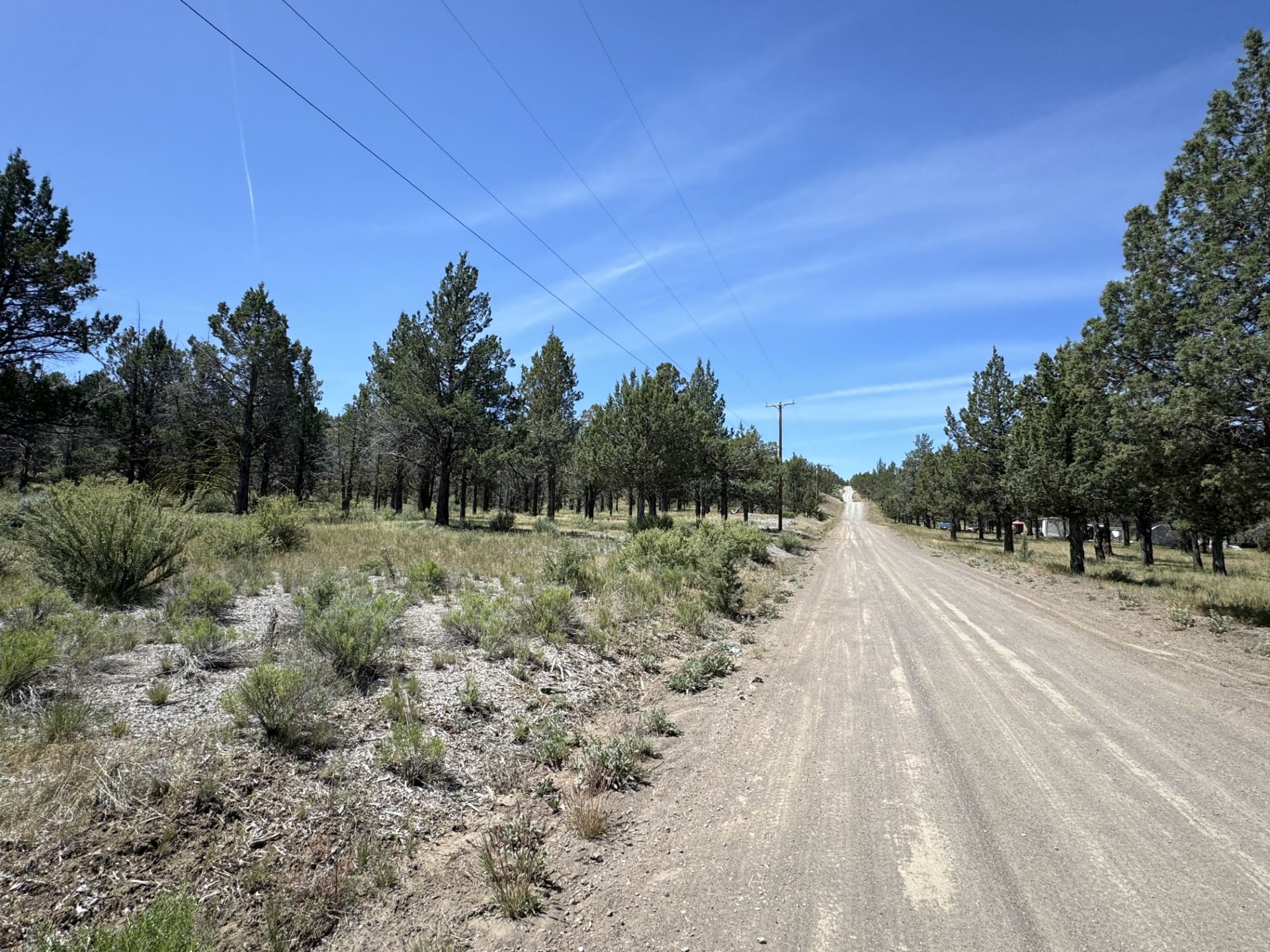 1.47 ACRES IN BEAUTIFUL NORTHERN CALIFORNIA JUST NORTH OF ALTURAS WITH POWER AND TIMBER. photo 10