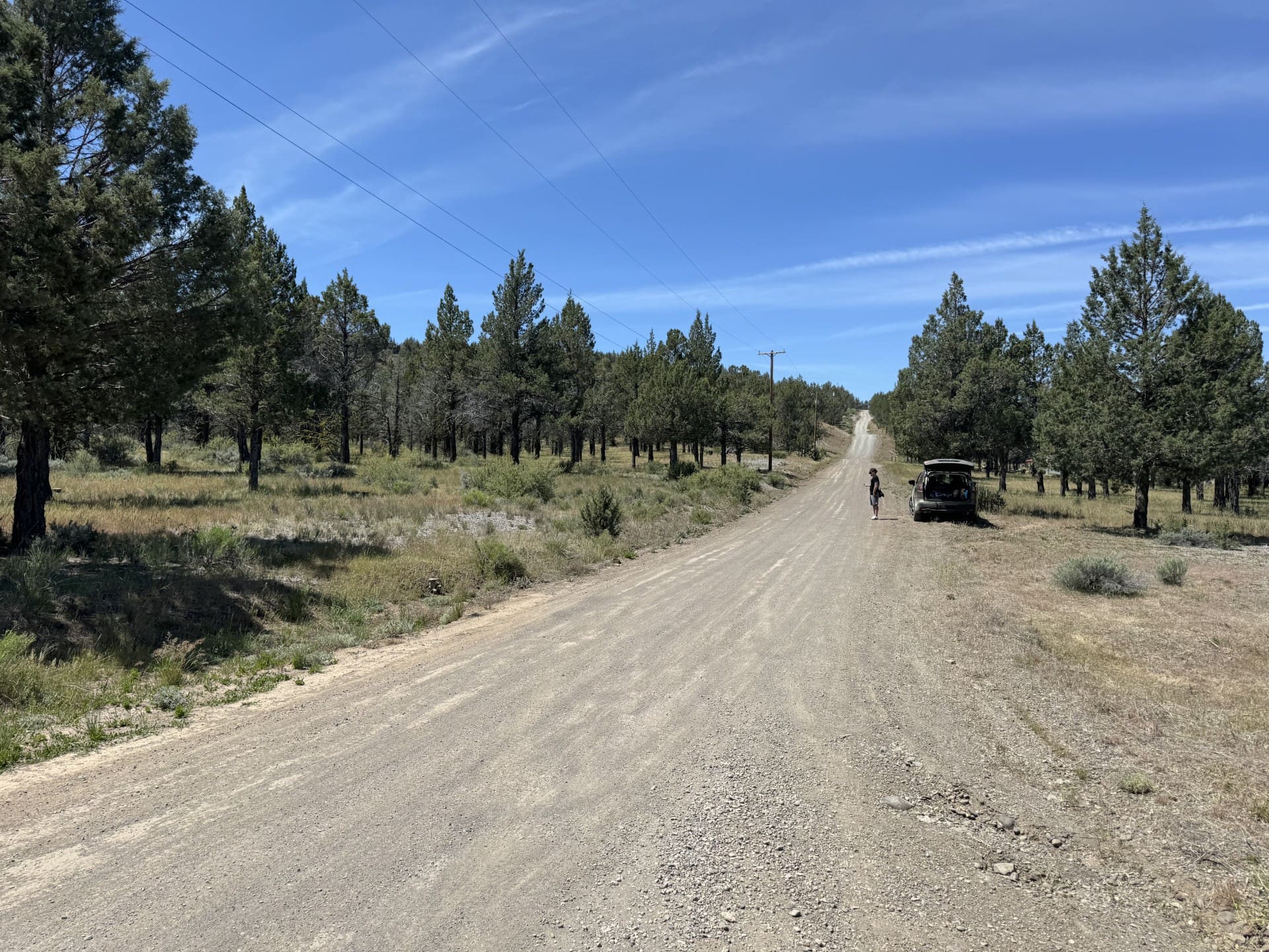 1.47 ACRES IN BEAUTIFUL NORTHERN CALIFORNIA JUST NORTH OF ALTURAS WITH POWER AND TIMBER. photo 12