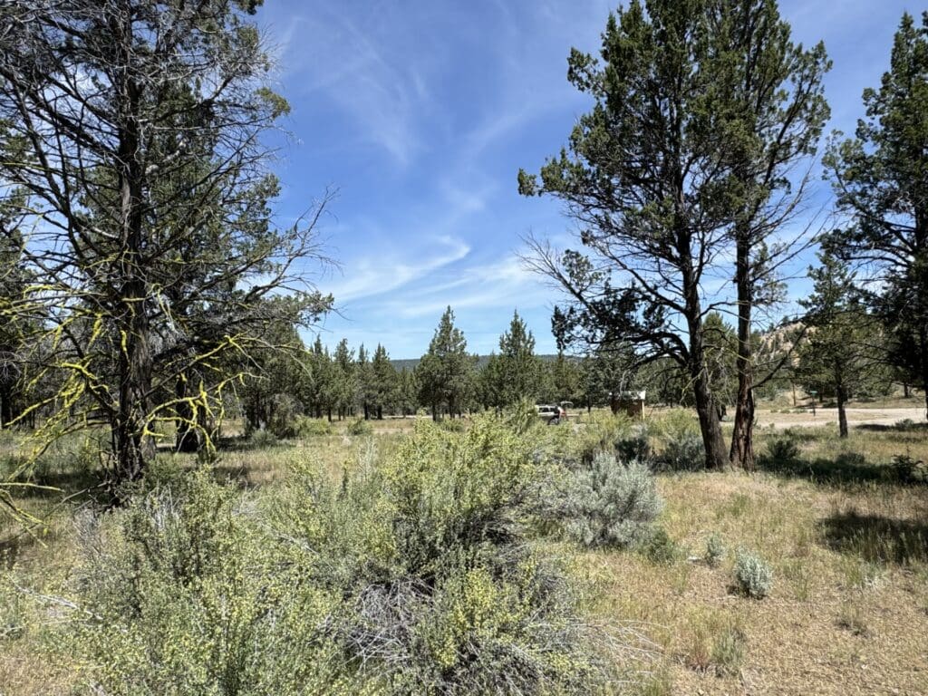 Large view of 1.47 ACRES IN BEAUTIFUL NORTHERN CALIFORNIA JUST NORTH OF ALTURAS WITH POWER AND TIMBER. Photo 8