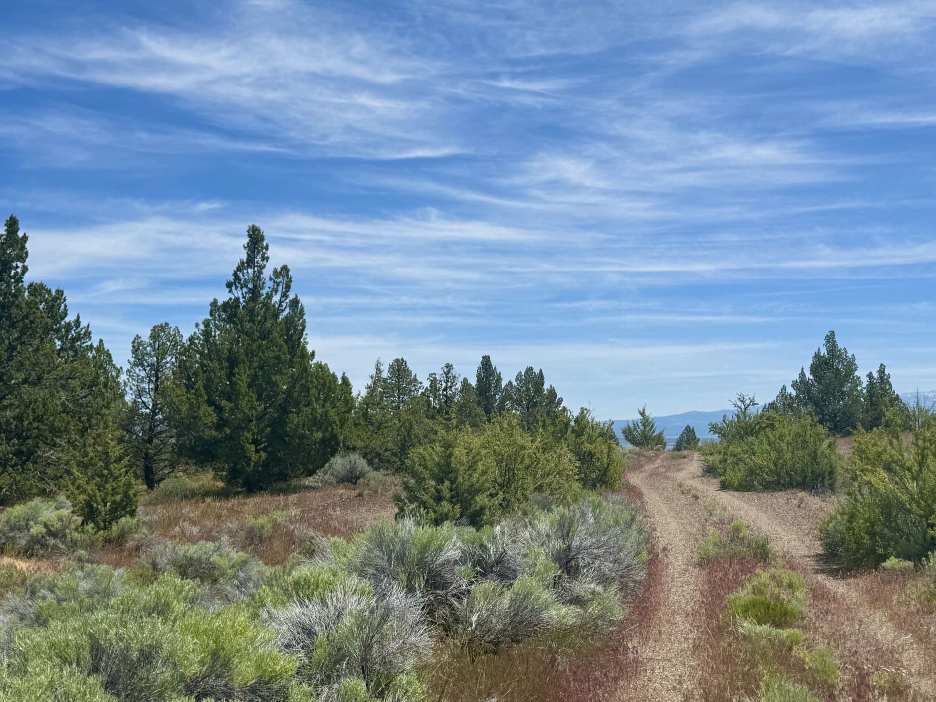 GORGEOUS TREED LOT IN THE FAMOUS PITT RIVER AREA OF NORTHERN CALFORNIA ~ WORLD CLASS FISHING ~ NEAR OREGON & NEVADA photo 13