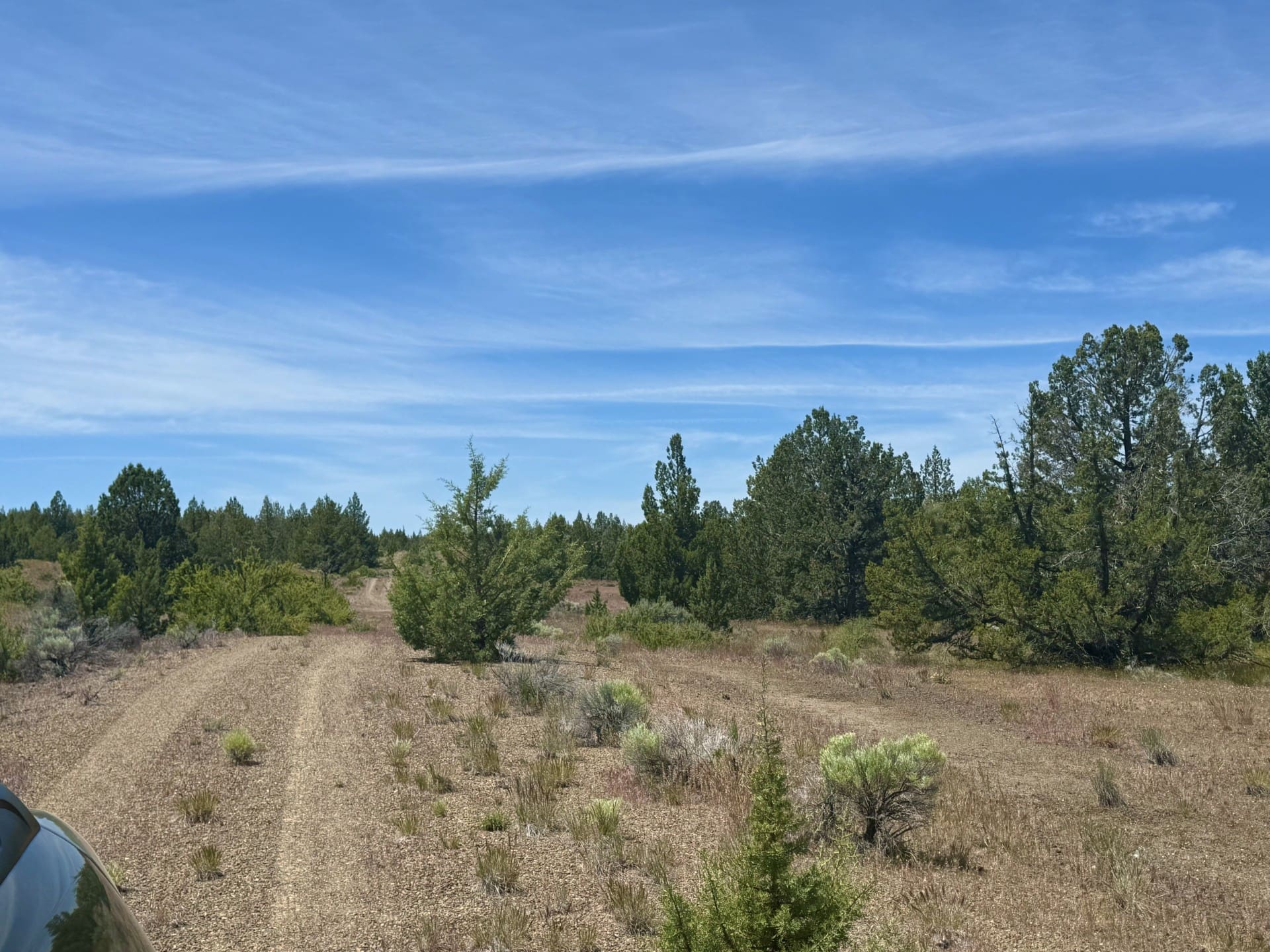 GORGEOUS TREED LOT IN THE FAMOUS PITT RIVER AREA OF NORTHERN CALFORNIA ~ WORLD CLASS FISHING ~ NEAR OREGON & NEVADA photo 16