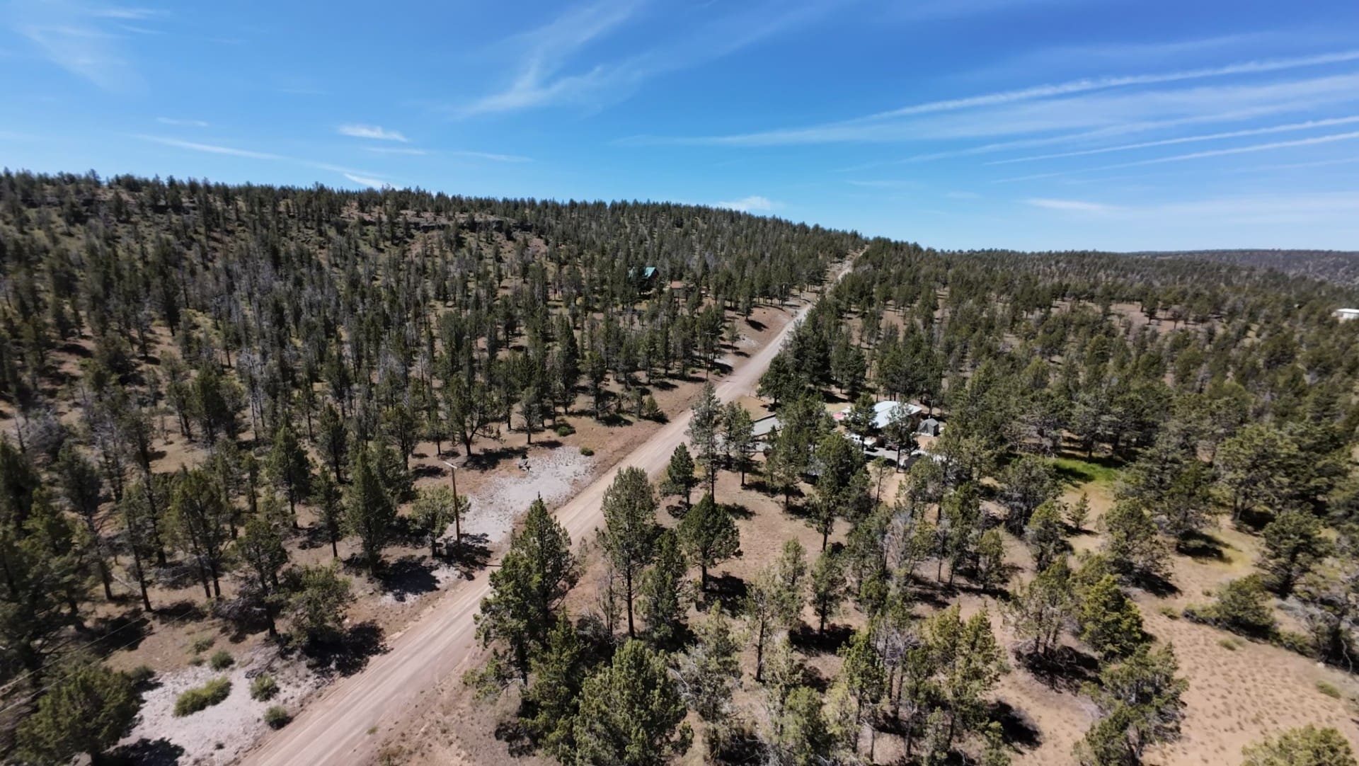 1.47 ACRES IN BEAUTIFUL NORTHERN CALIFORNIA JUST NORTH OF ALTURAS WITH POWER AND TIMBER. photo 19