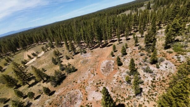 30.00 ACRES ~ GORGEOUS NORTHERN CALIFORNIA TIMBERED MOUNTAIN LAND IN MODOC COUNTY NEAR OREGON & NEVADA